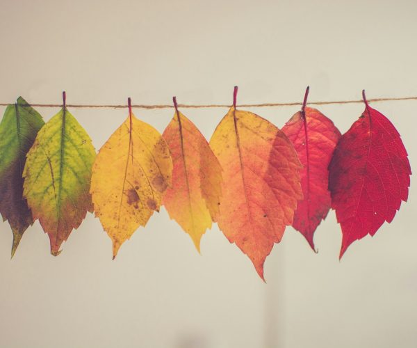 chris-lawton-5IHz5WhosQE-unsplash (1)